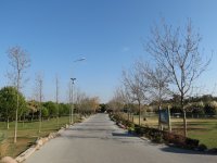 img_7647