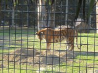 img_7674