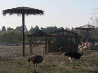 img_7706