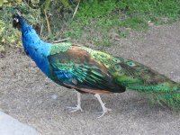 img_7731