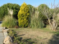 img_7732