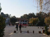 img_7736