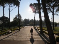 img_7749