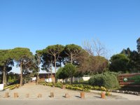 img_7750