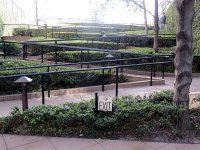 IMG_0910