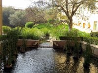 IMG_0913