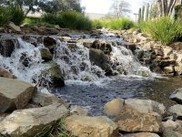 IMG_0926