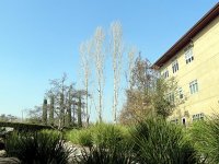 IMG_0928