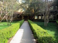 IMG_0934