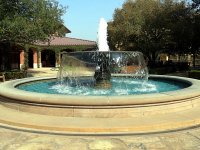 IMG_0944