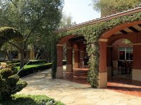 IMG_0968