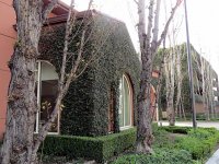 IMG_0994