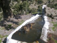 Image0754