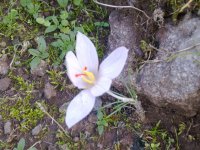 Image0775