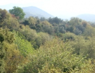 Dumanlıdağ