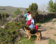 Canan,Ayşen,Nuray