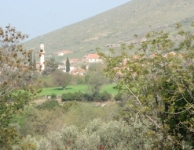 Hatundere