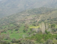 Dumanlıdağ