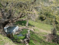 Dumanlıdağ