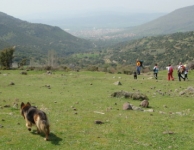 Dumanlıdağ