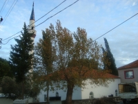 DSC05124