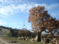 DSC05150