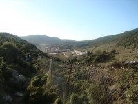 DSC05169