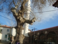 DSC05170