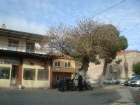 DSC05171