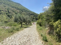 IMG_0836