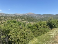 IMG_0840