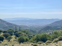 IMG_2849