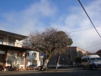 DSC09622