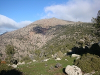 DSC09690