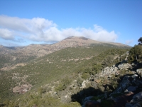 DSC09697