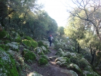 DSC09701