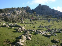 DSC09705