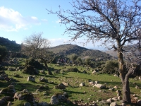 DSC09706