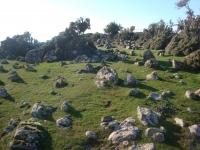 DSC09714