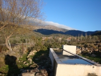 DSC09725
