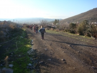 DSC09726
