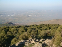 DSC08290pazar851