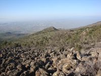 DSC08298pazar940