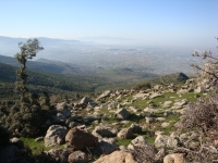 DSC08304pazar954
