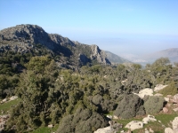 DSC08316pazar1052