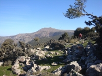DSC08317pazar1053