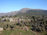 DSC08318pazar1102