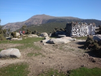 DSC08319pazar1103