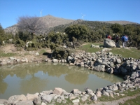 DSC08328pazar1159