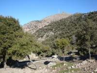 DSC08330pazar1204